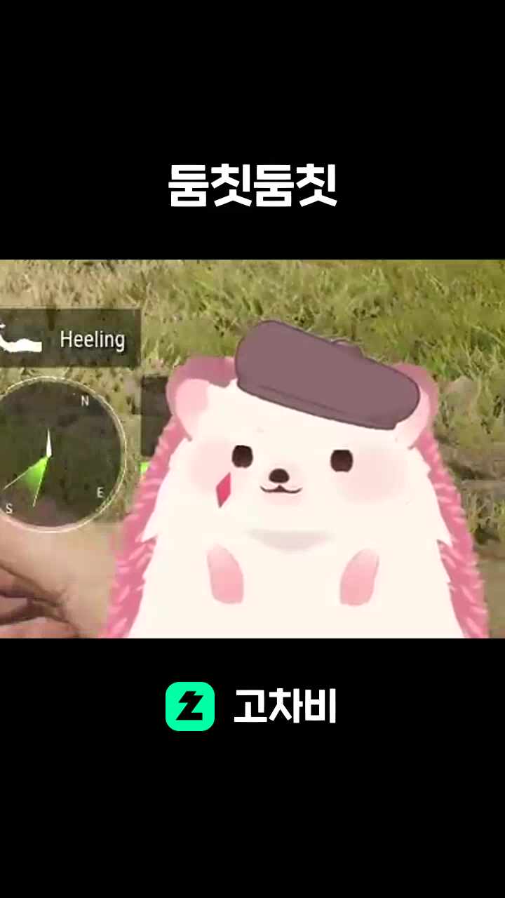둠칫둠칫