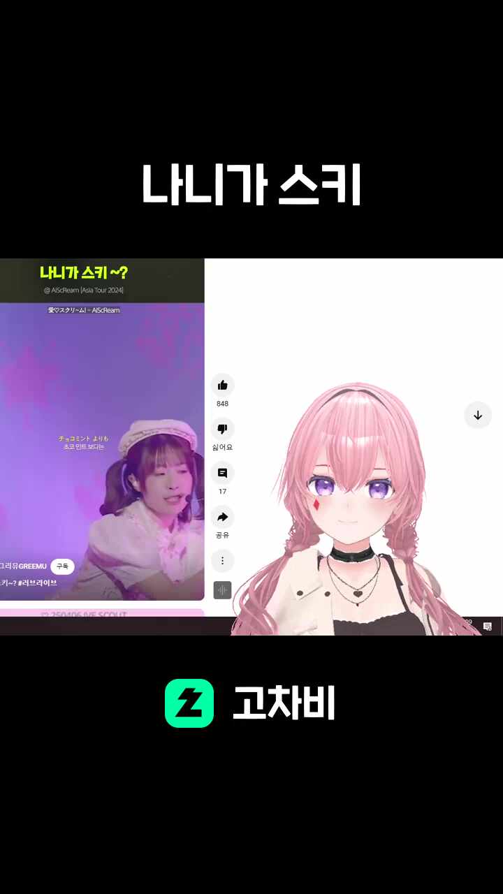 나니가 스키