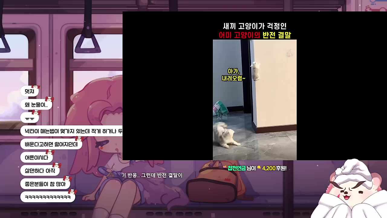 너무귀여워
