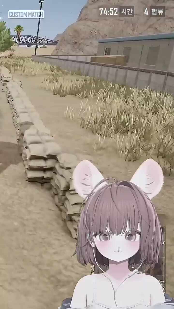 쪼꼬민또
