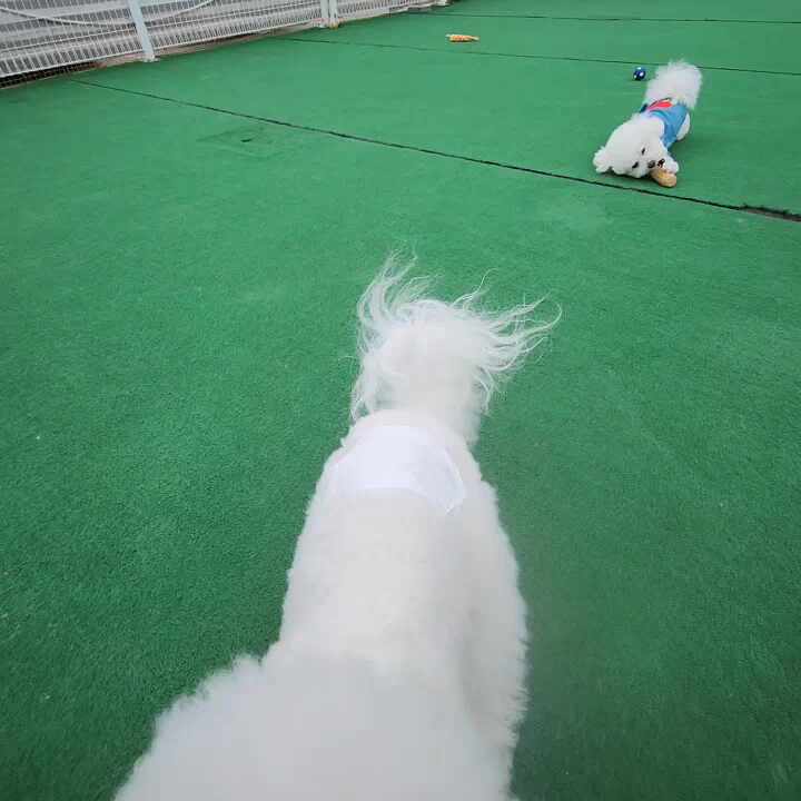 둥개둥개 5