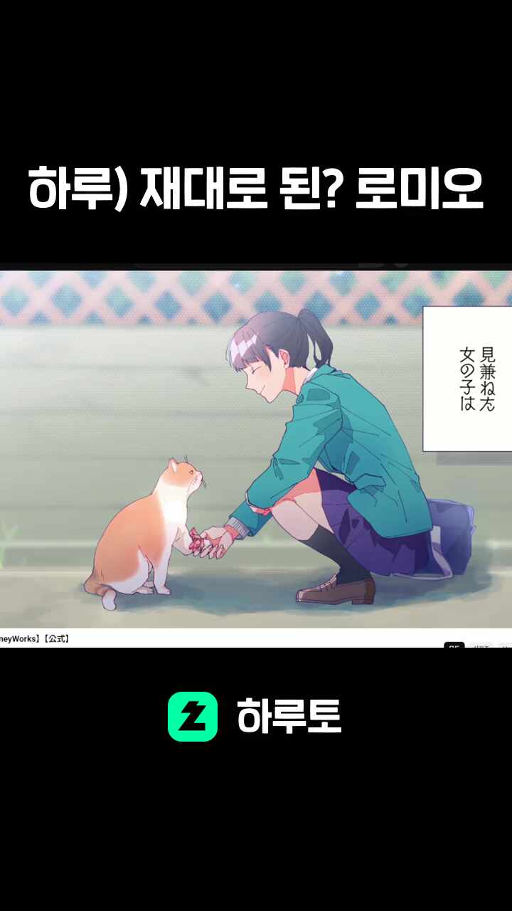 하루) 재대로 된? 로미오