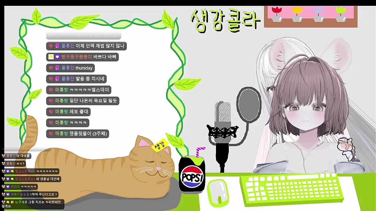 느에콜라