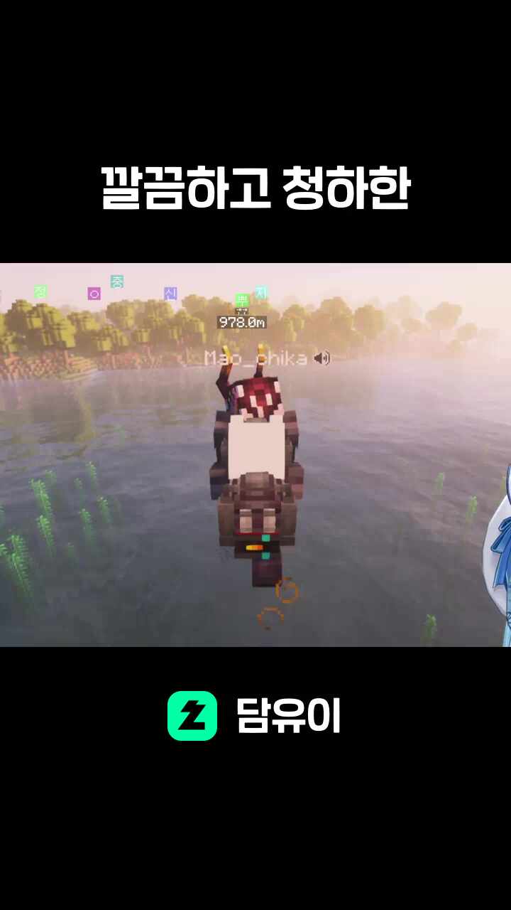 깔끔하고 청하한