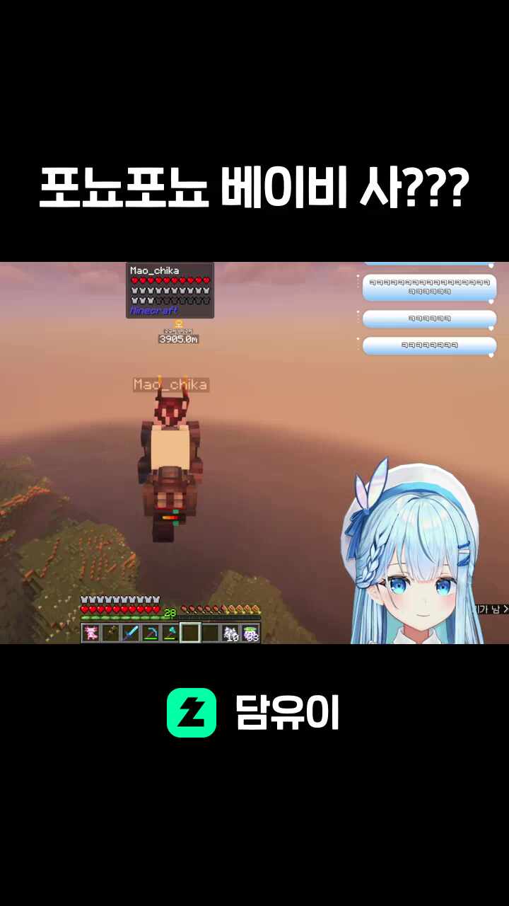포뇨포뇨 베이비 사???