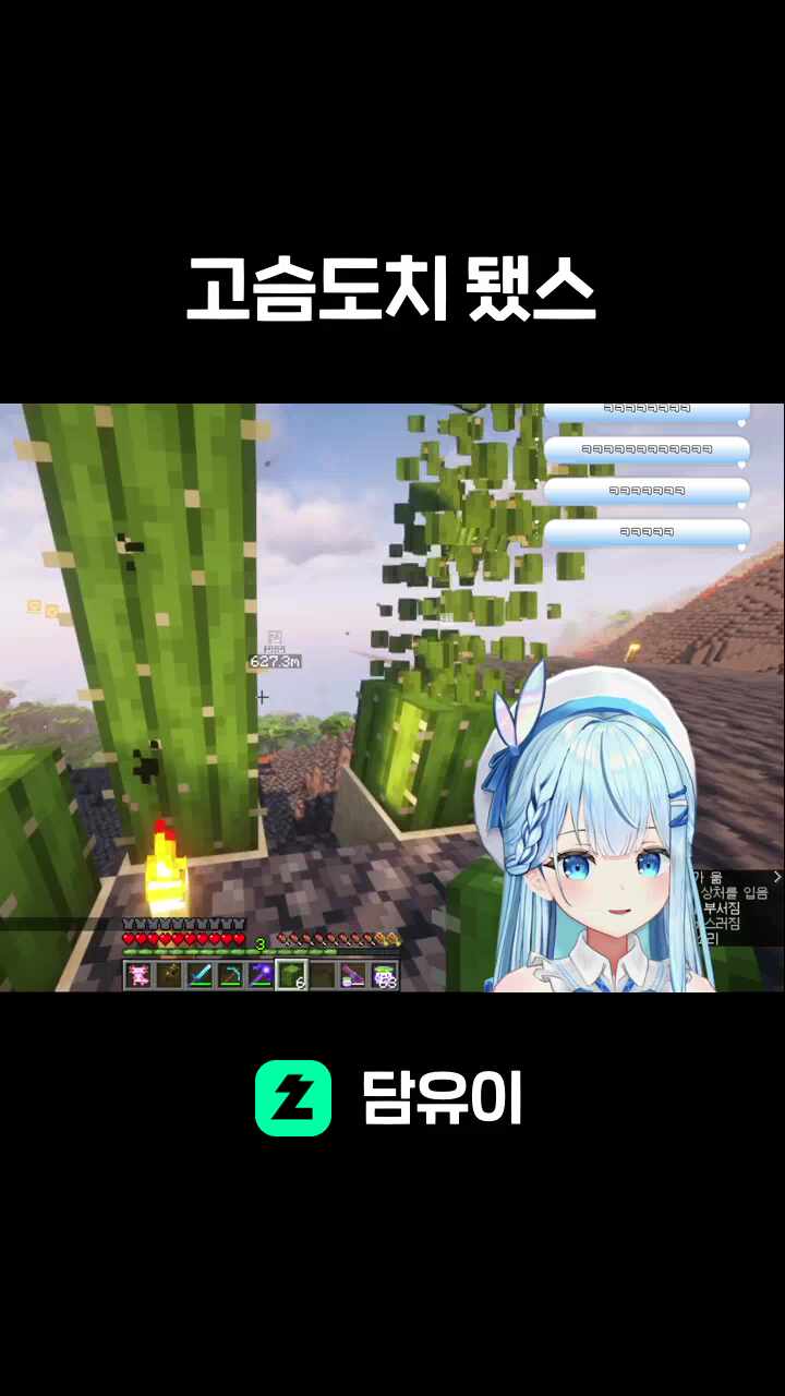 고슴도치 됐스