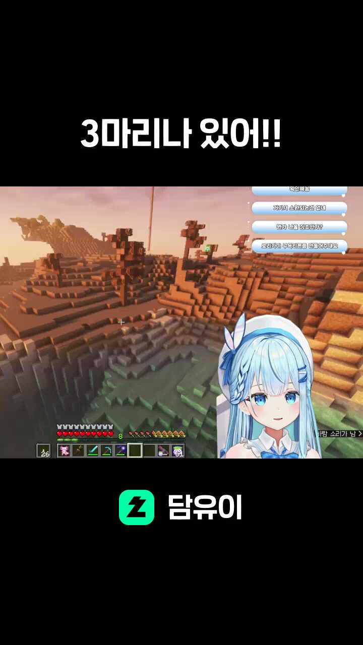 3마리나 있어!!