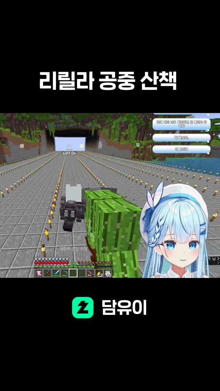 리릴라 공중 산책
