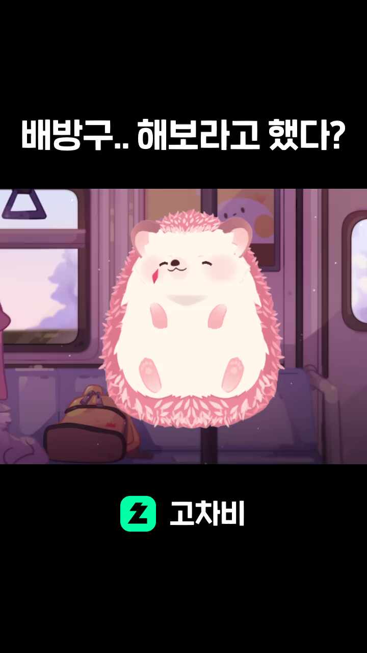 배방구.. 해보라고 했다?