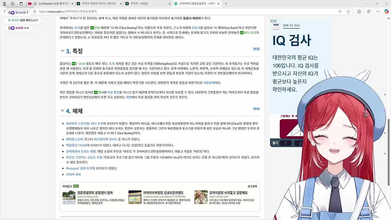 나무위키에서 '꼬마비로드갯민숭달팽이'를 검색했더니