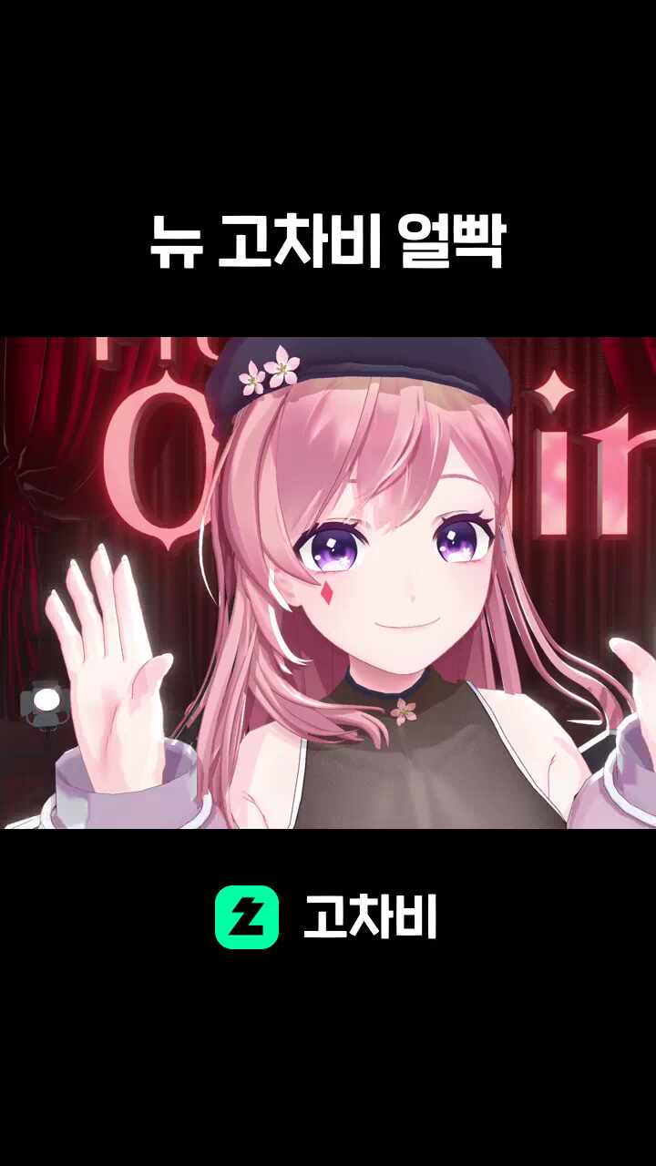 뉴 고차비 얼빡