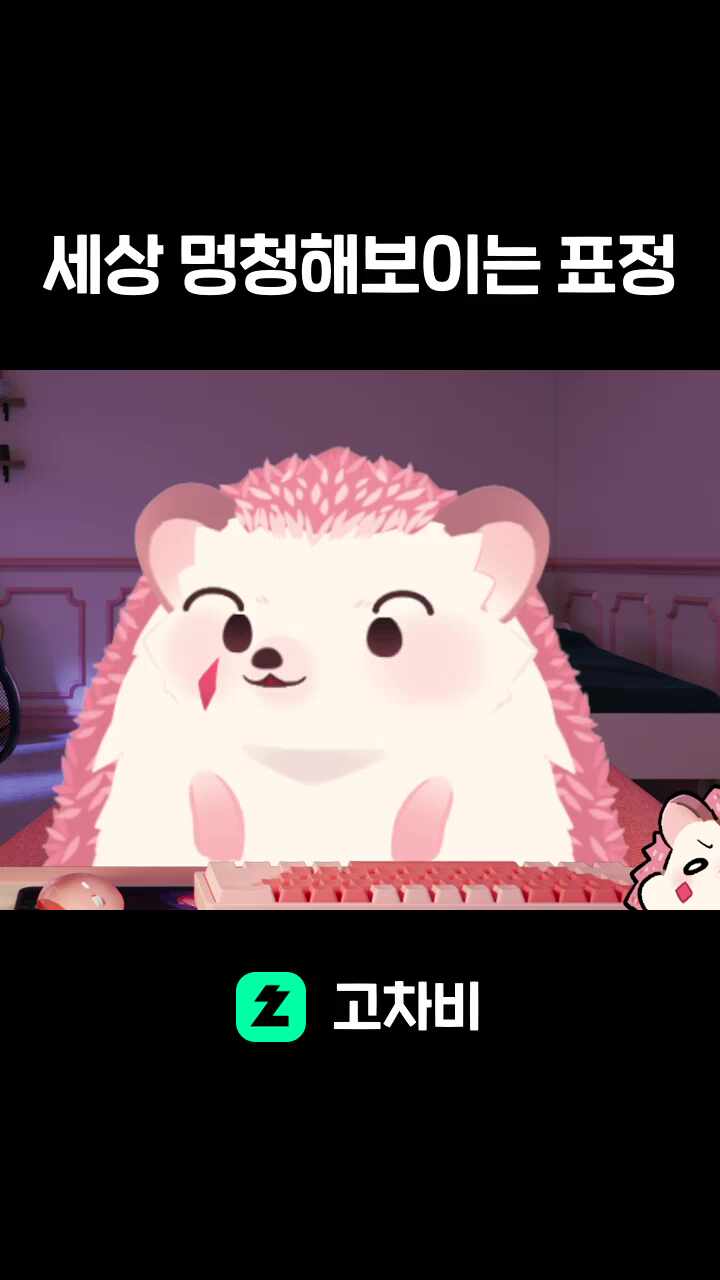 세상 멍청해보이는 표정
