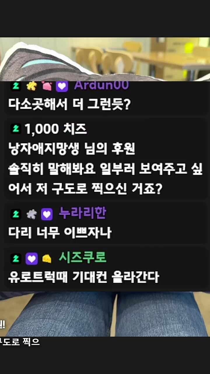 츰메 다리 위에 마늘이들(쿠션 안보임)