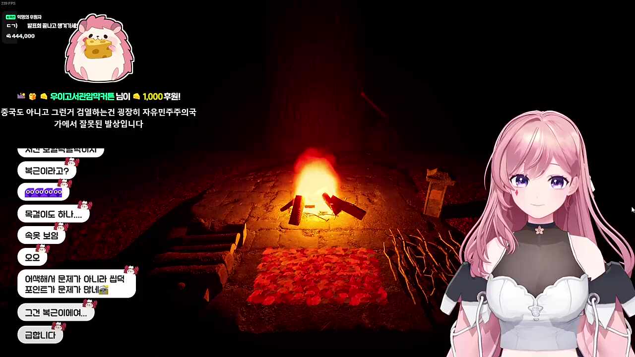 차비님 빤쮸 어딨어?