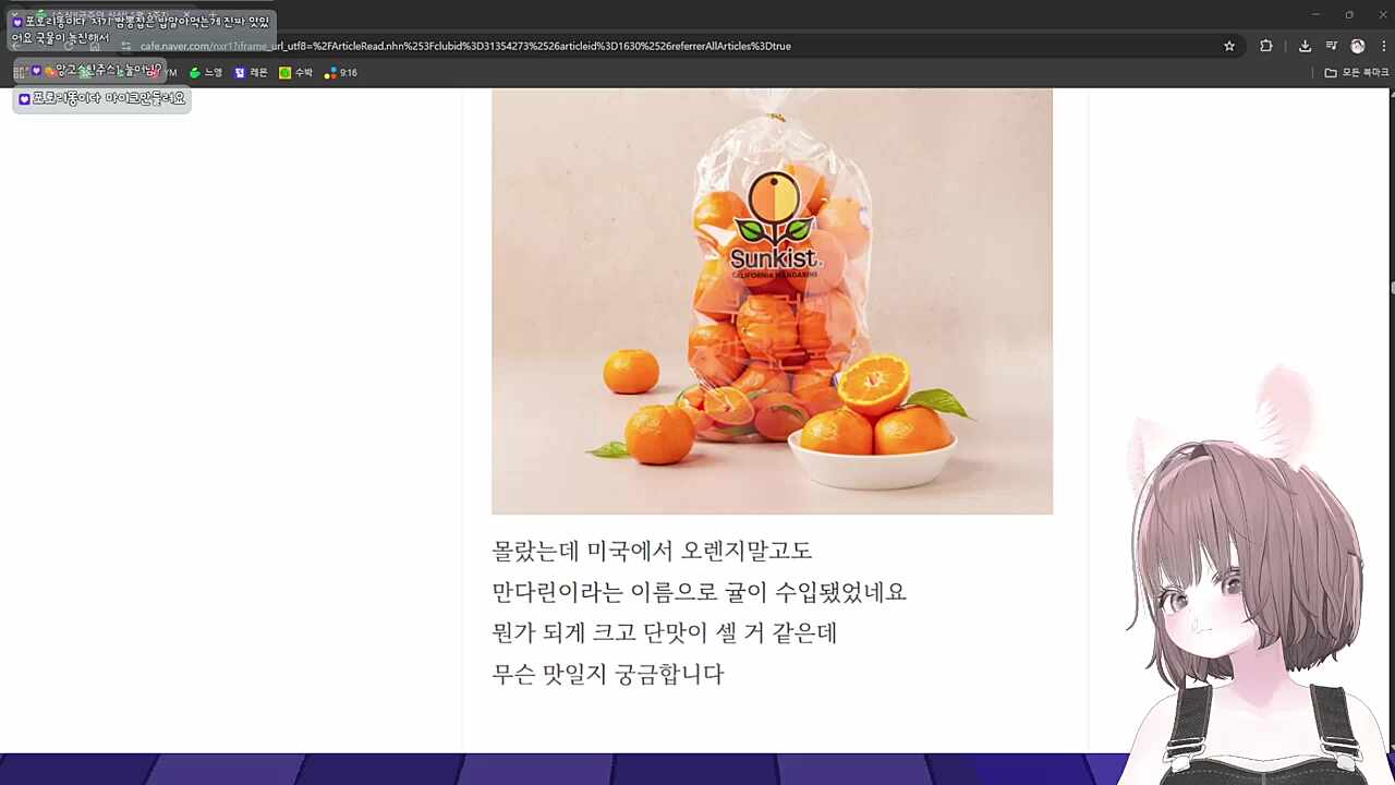바보눌의 재방송