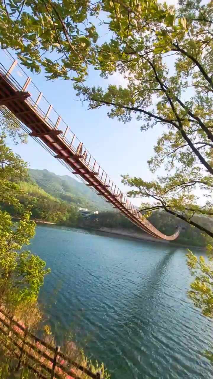 마장호수 출렁다리 이미지 2