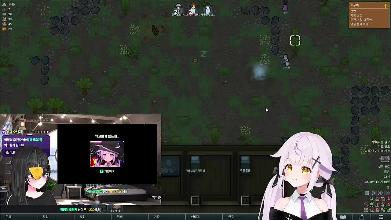 마녀 -> 둥이 -> 마녀
