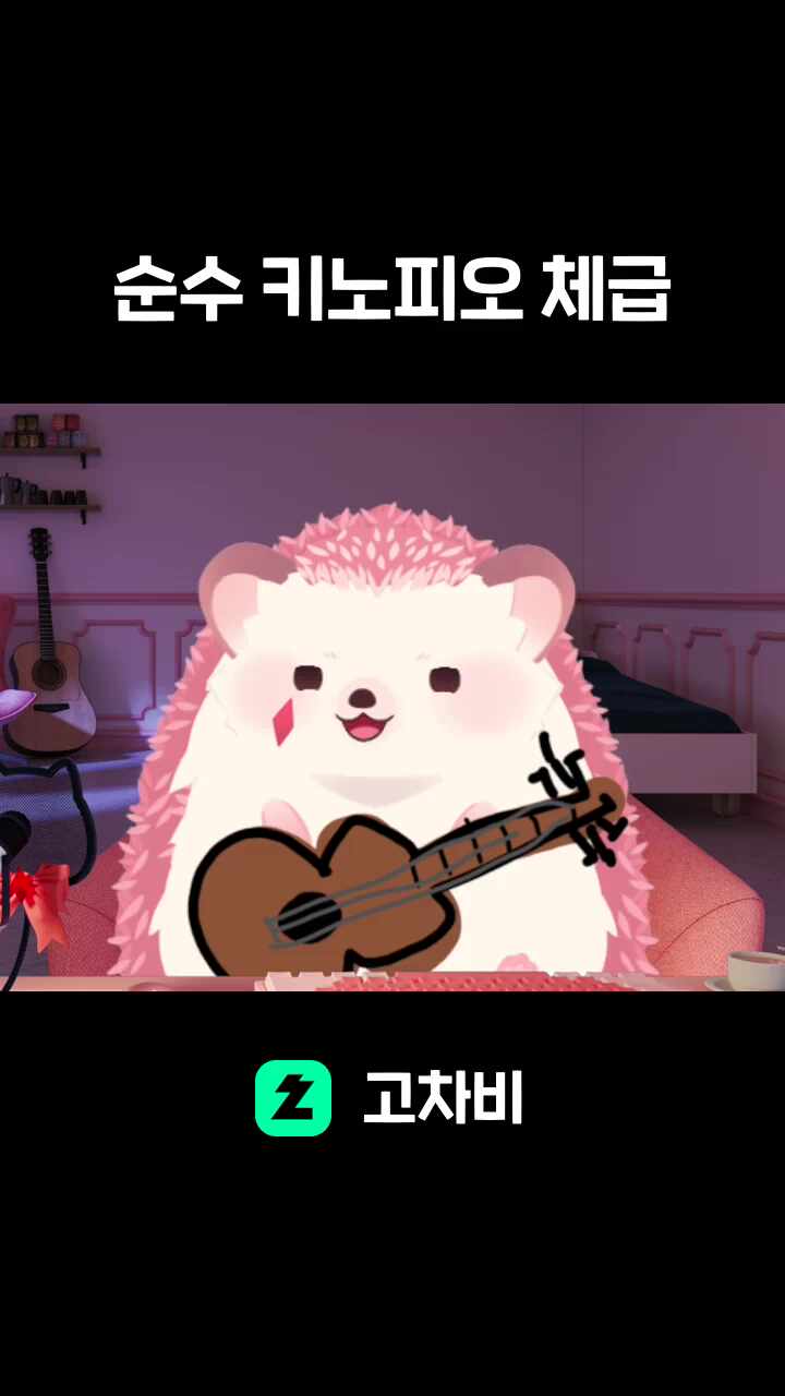 순수 키노피오 체급