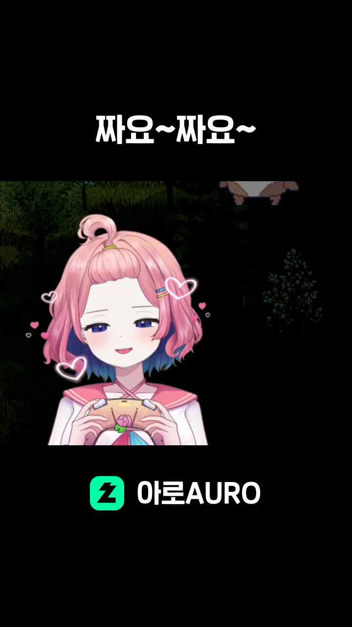 짜요~짜요~