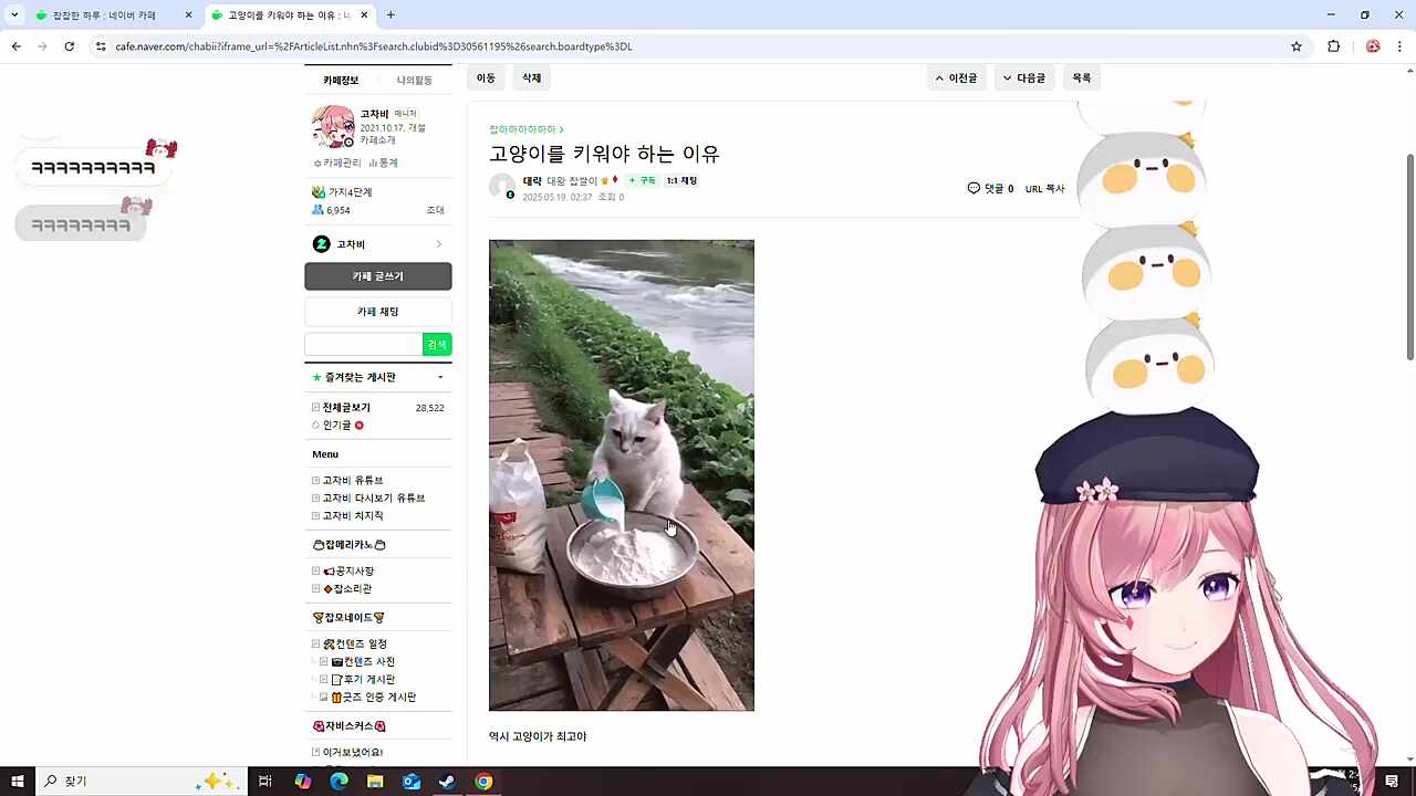 쿠마는 생활력이 떨어지나봐