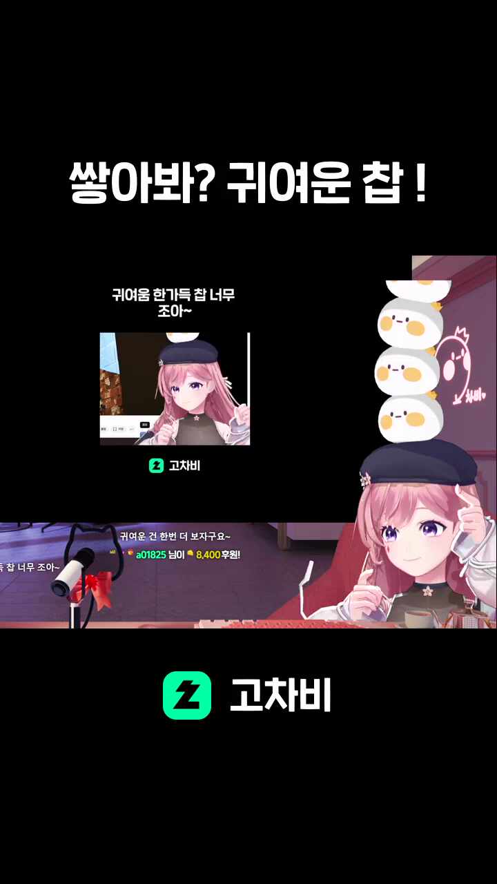 쌓아봐? 귀여운 찹 !