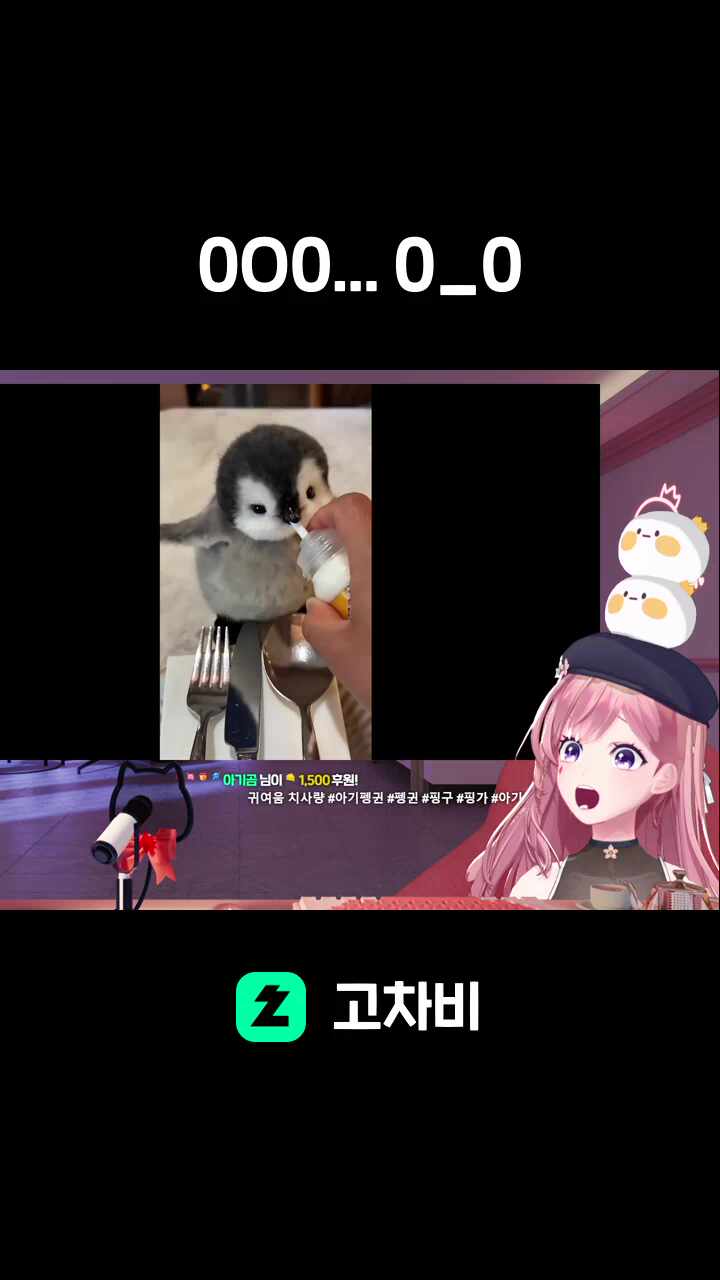 0O0... 0_0