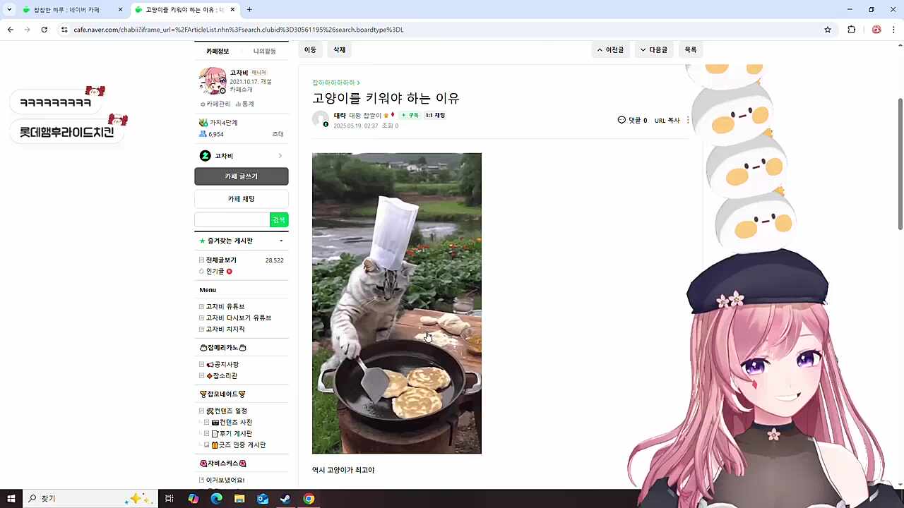 고양이를 키워야 하는 이유
