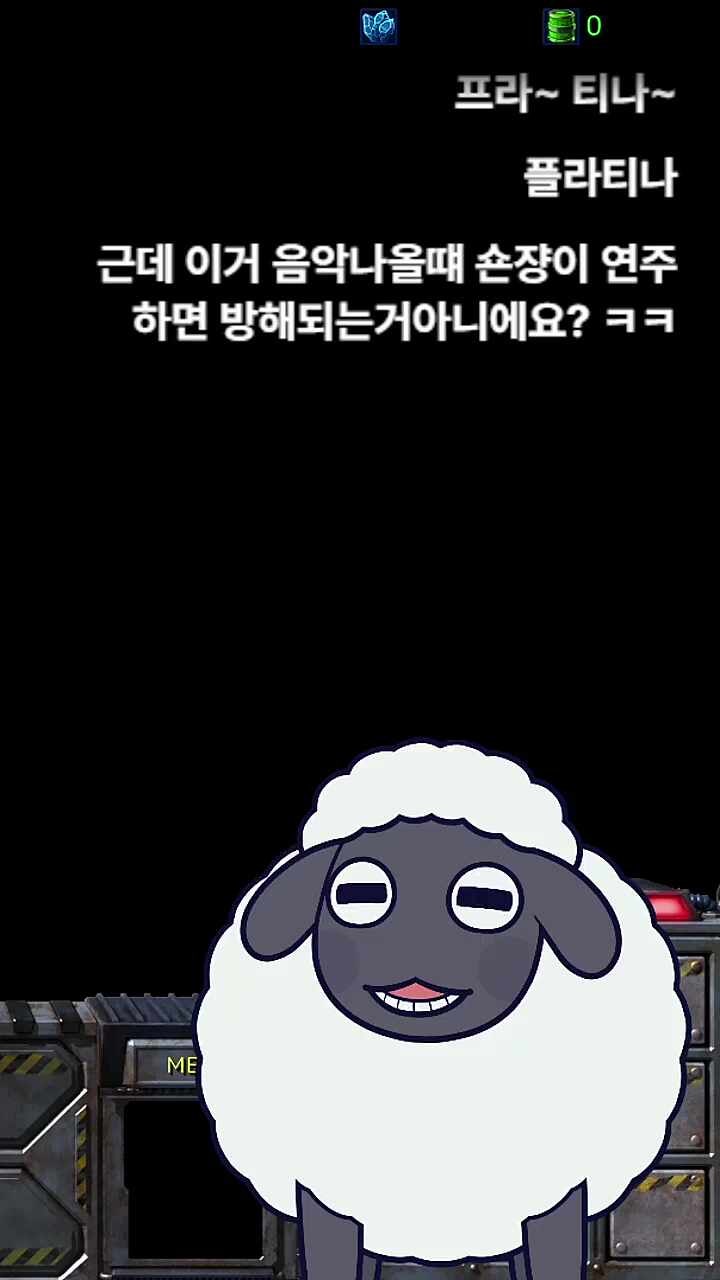 귀여운 숀양