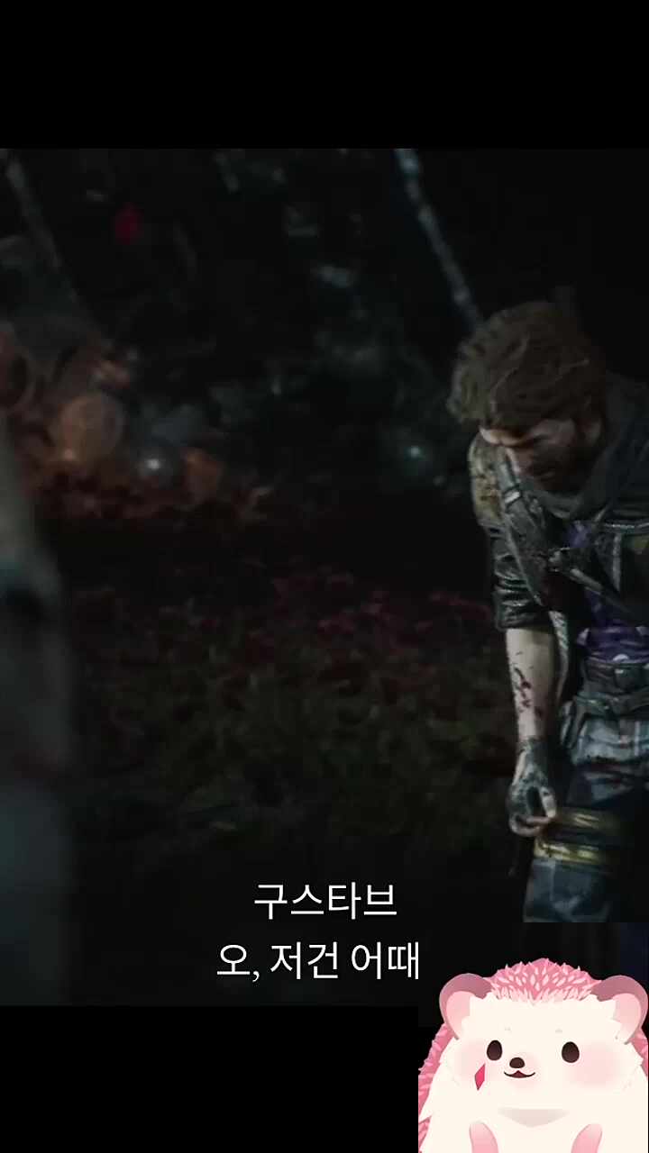 놀람도치