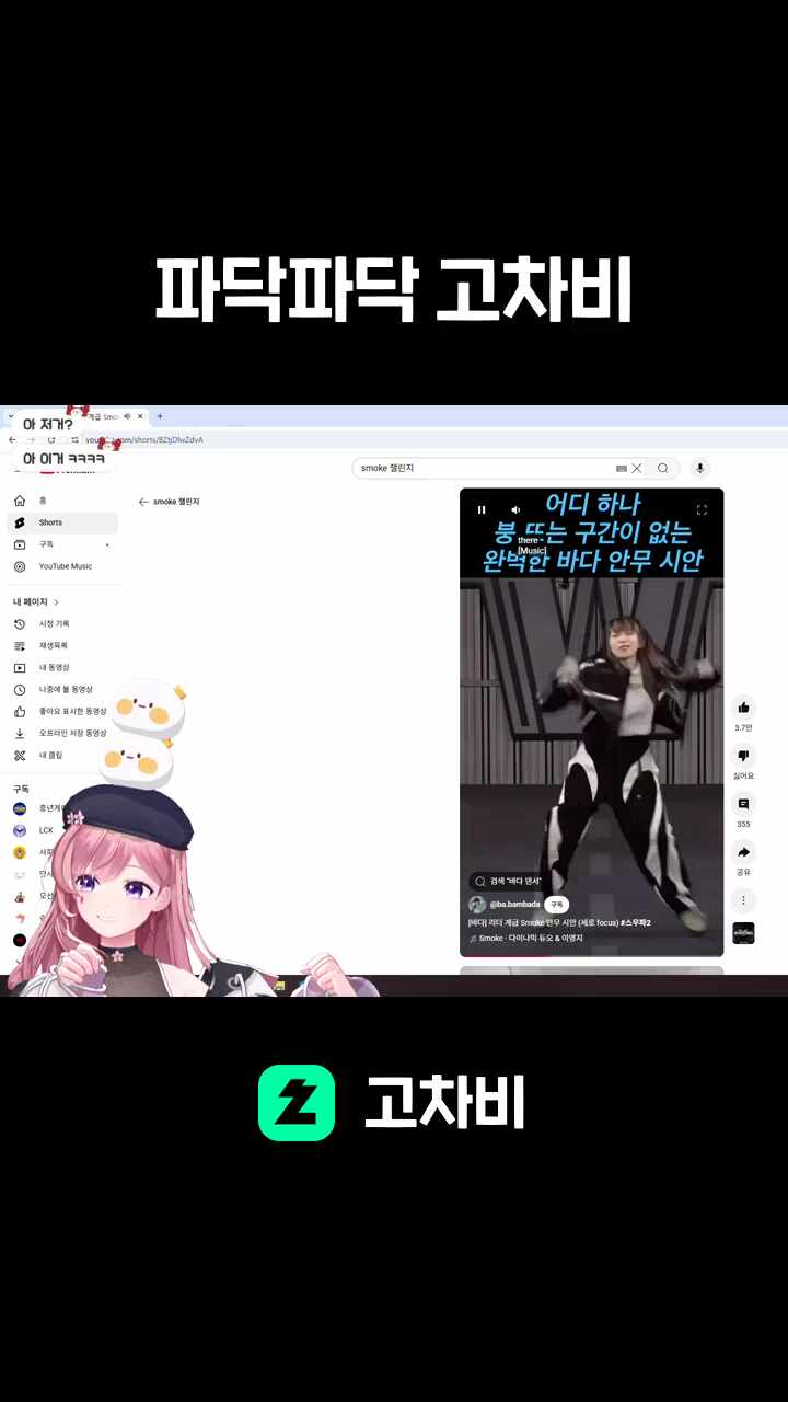 파닥파닥 고차비
