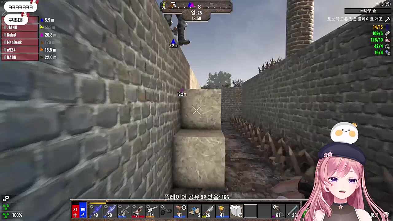 DORANG 2트