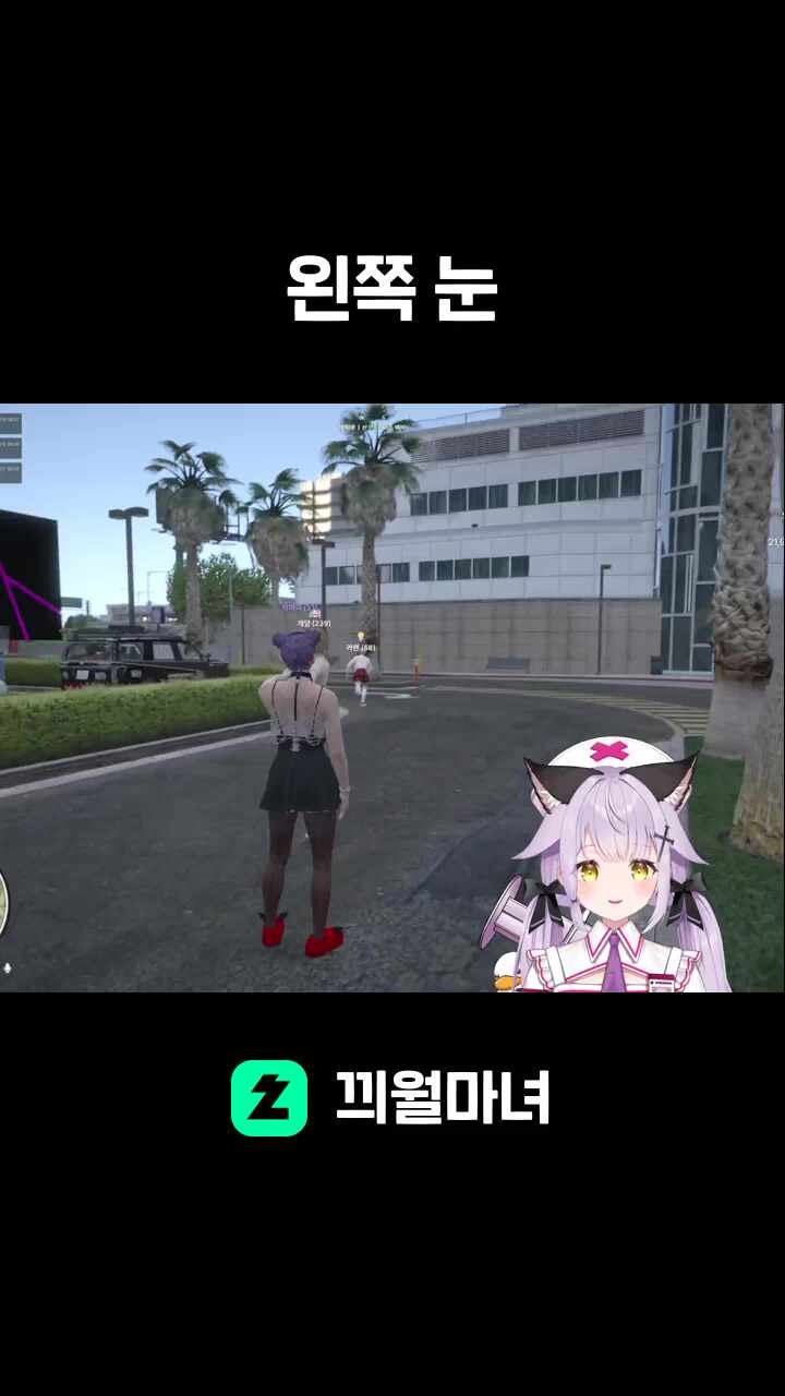 왼쪽 눈