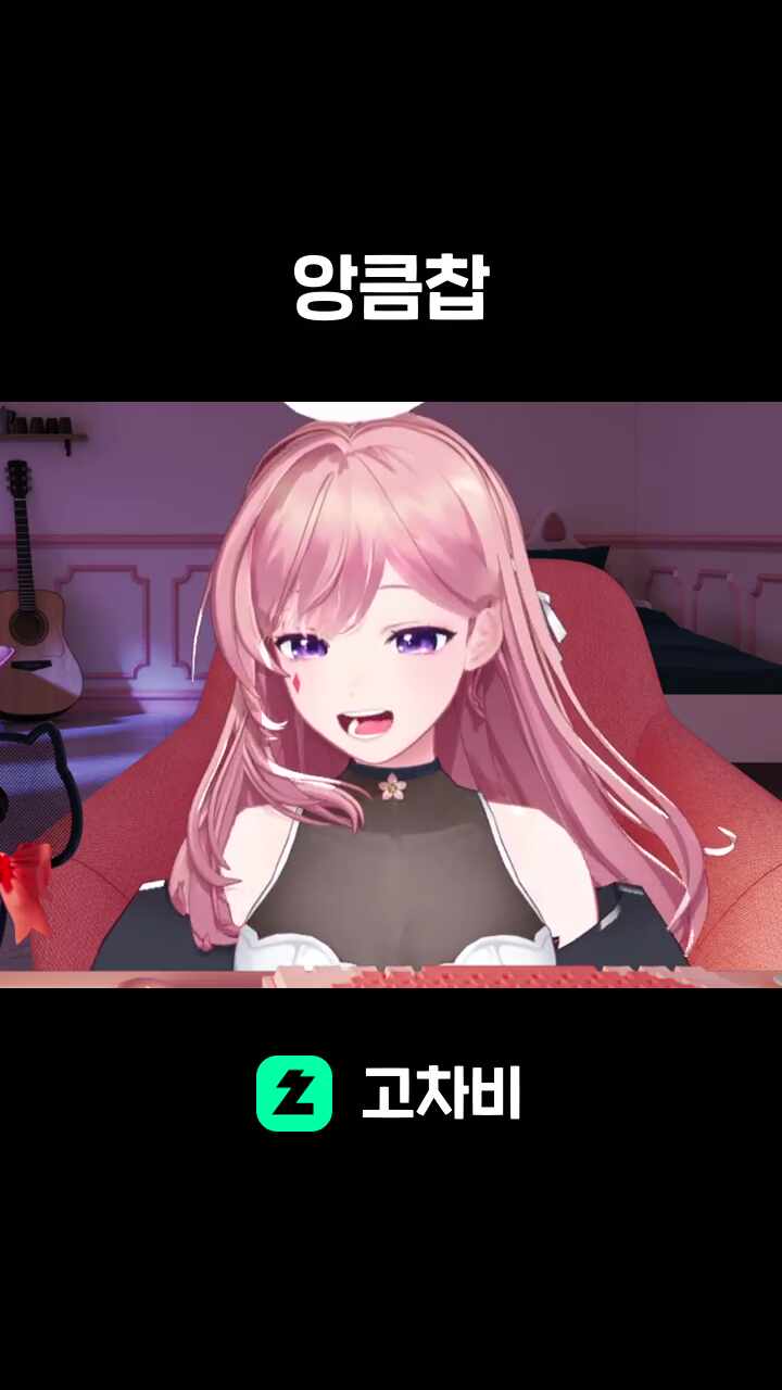 앙큼찹