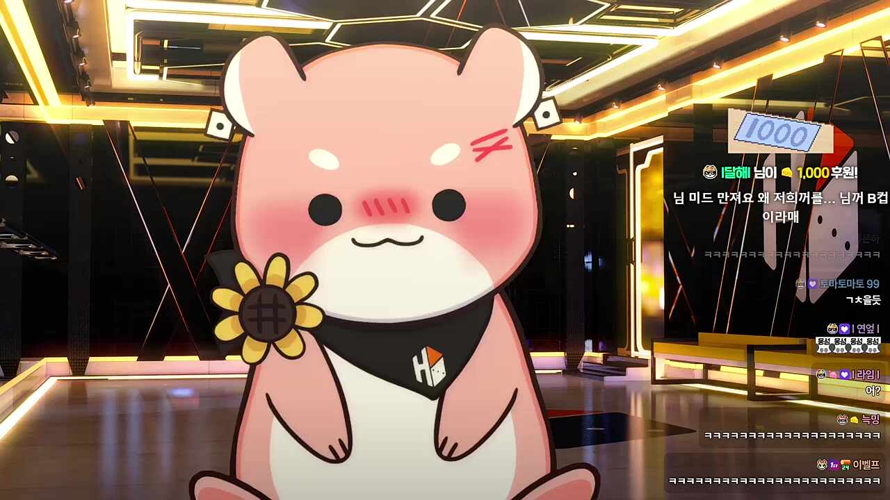 햄찌들 도발하는 하루 ㅋㅋㅋㅋㅋ