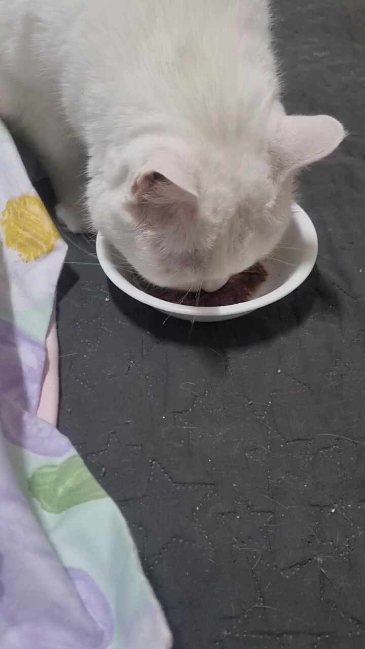 리뷰 사진 2