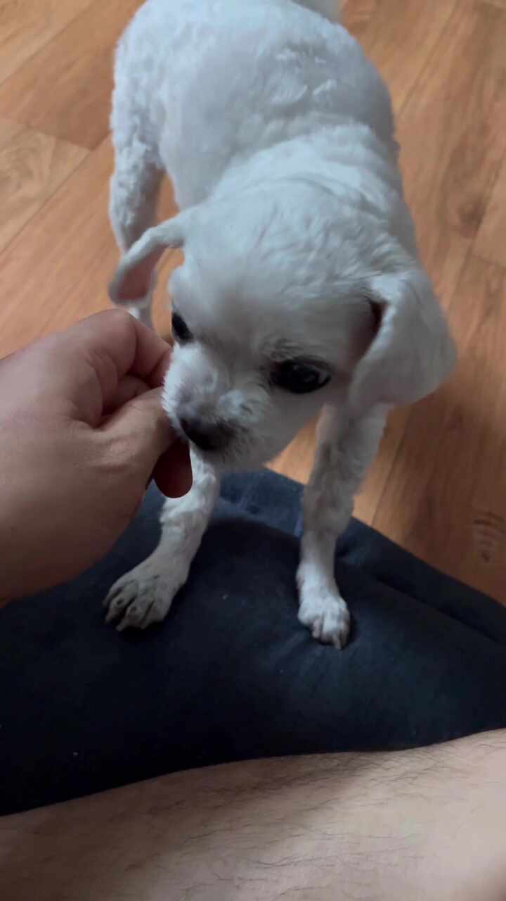 리뷰 사진 1