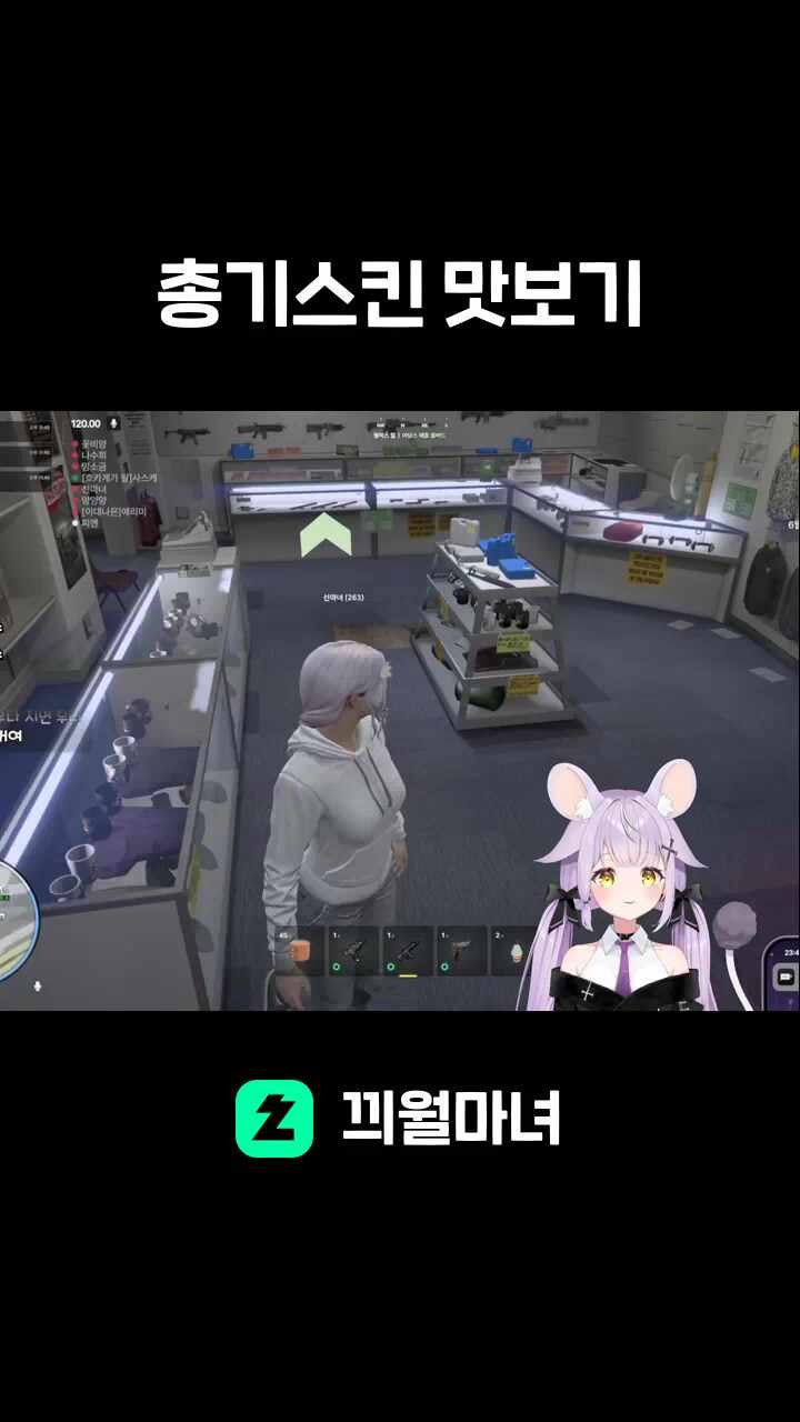 총기스킨 맛보기