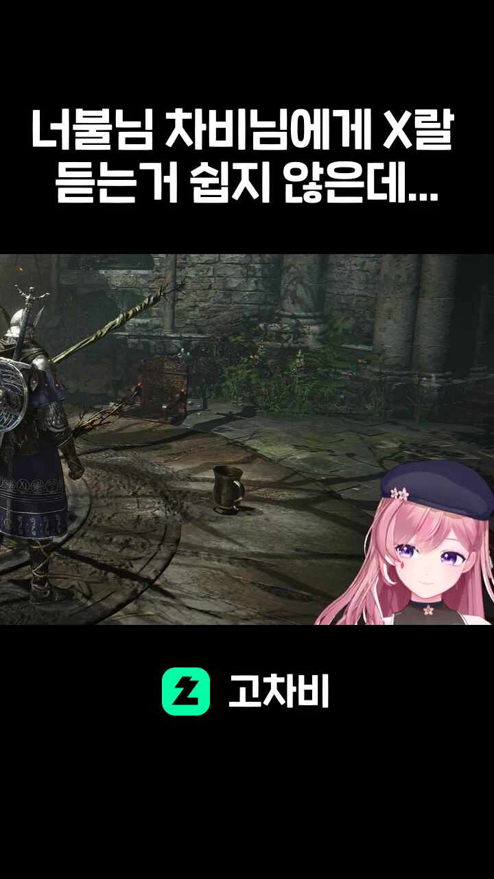 너불님 차비님에게 X랄 듣는거 쉽지 않은데...