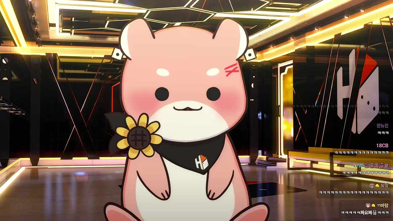 고양이앞 짜요짜요