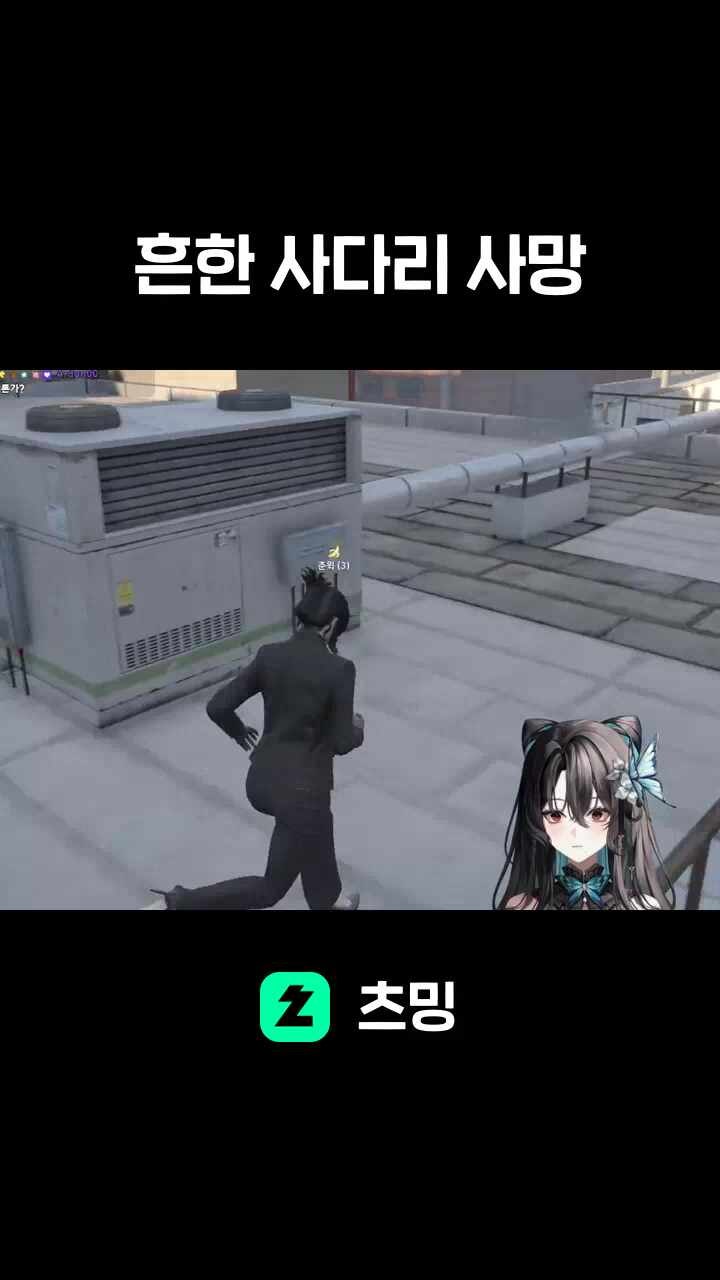 흔한 사다리 사망
