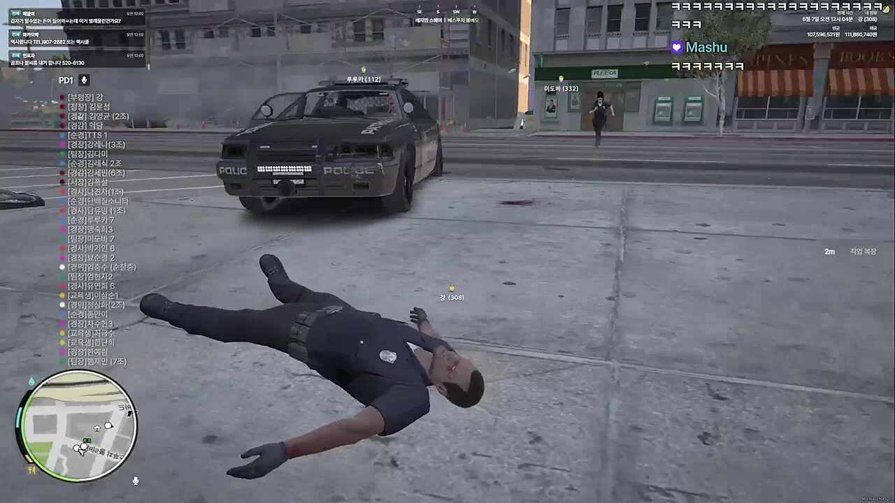 운전하다 팀킬당해 순직(?)