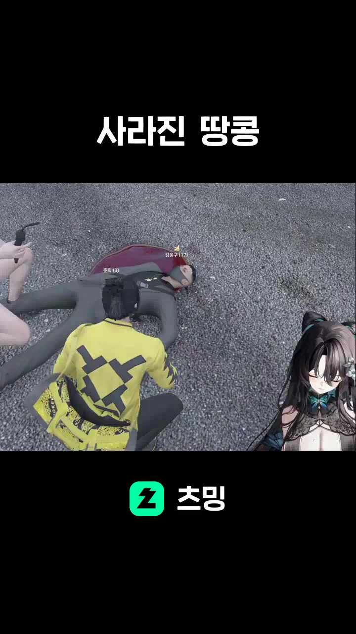 사라진  땅콩
