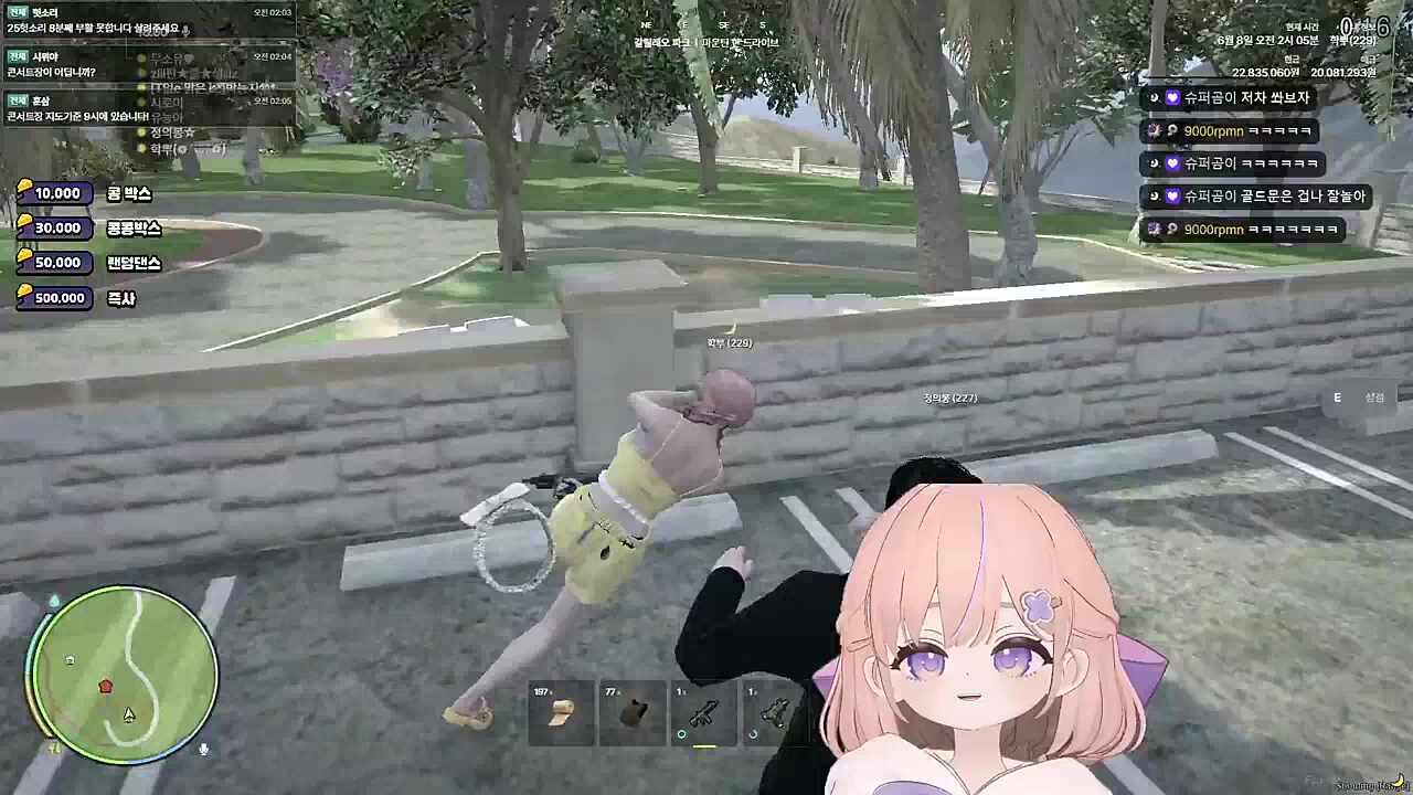 공중격추 당하는 학뿌