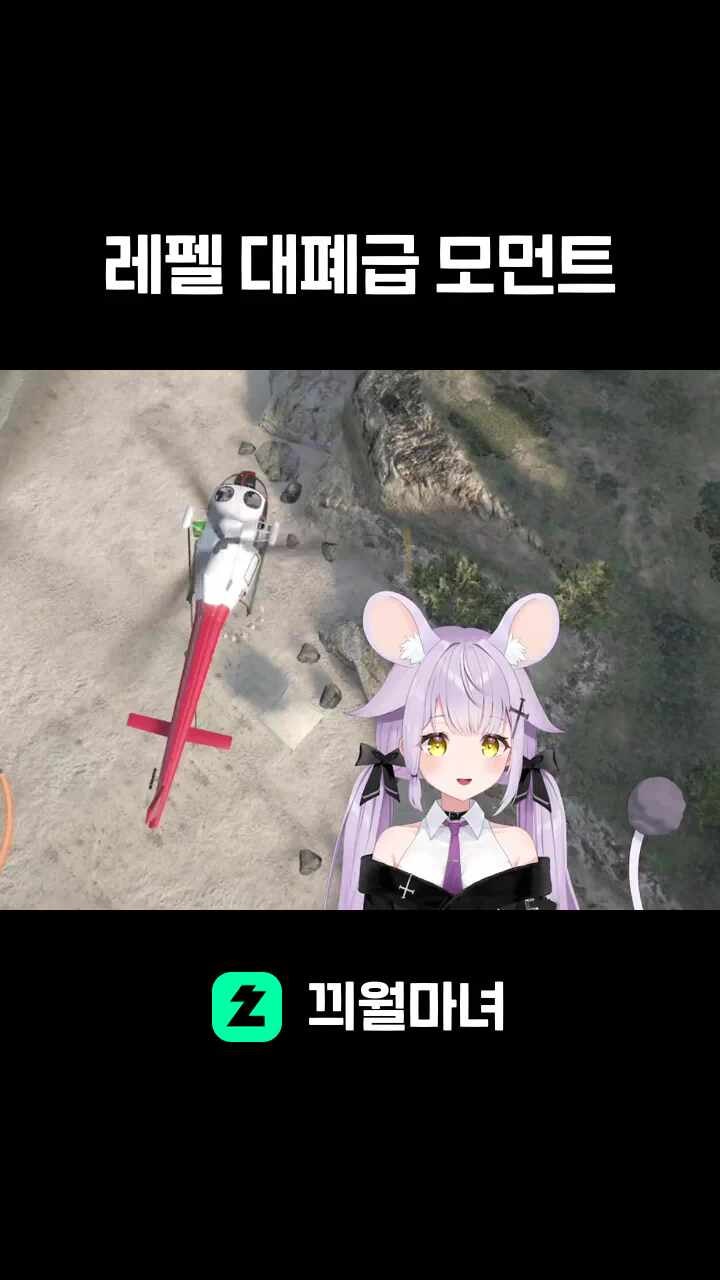 레펠 대폐급 모먼트