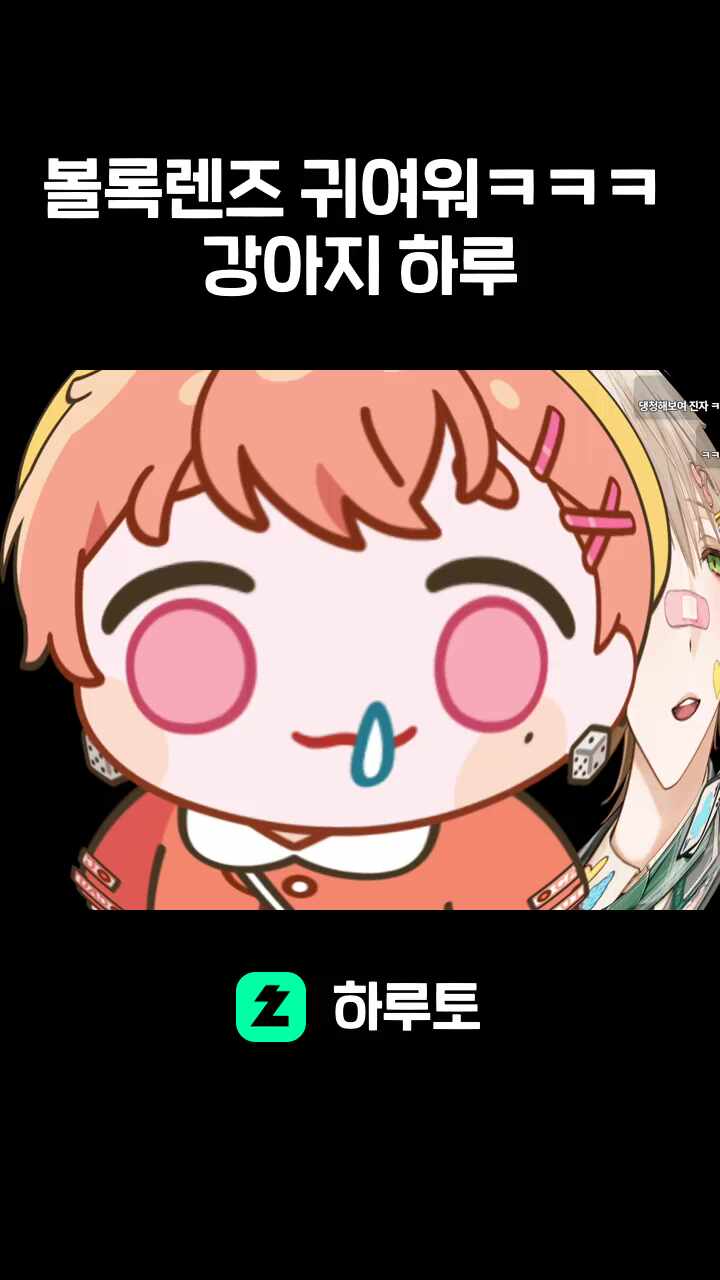 볼록렌즈 귀여워ㅋㅋㅋ 강아지 하루
