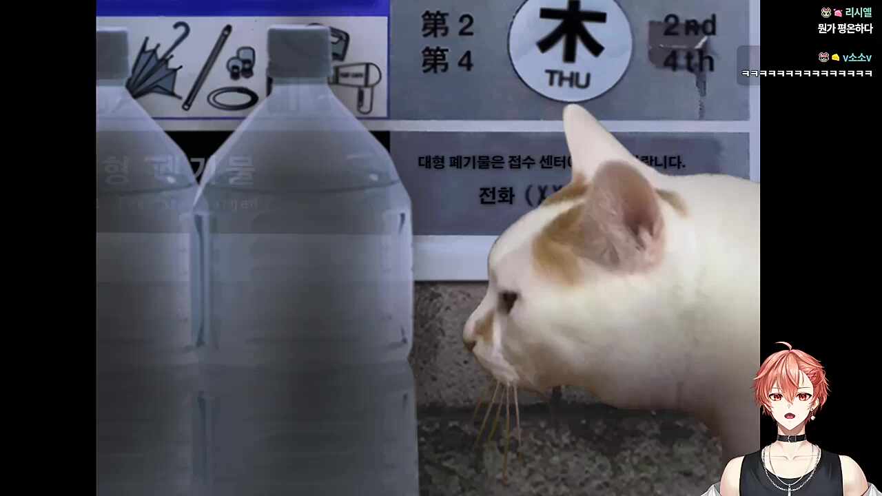 애옹~🐹