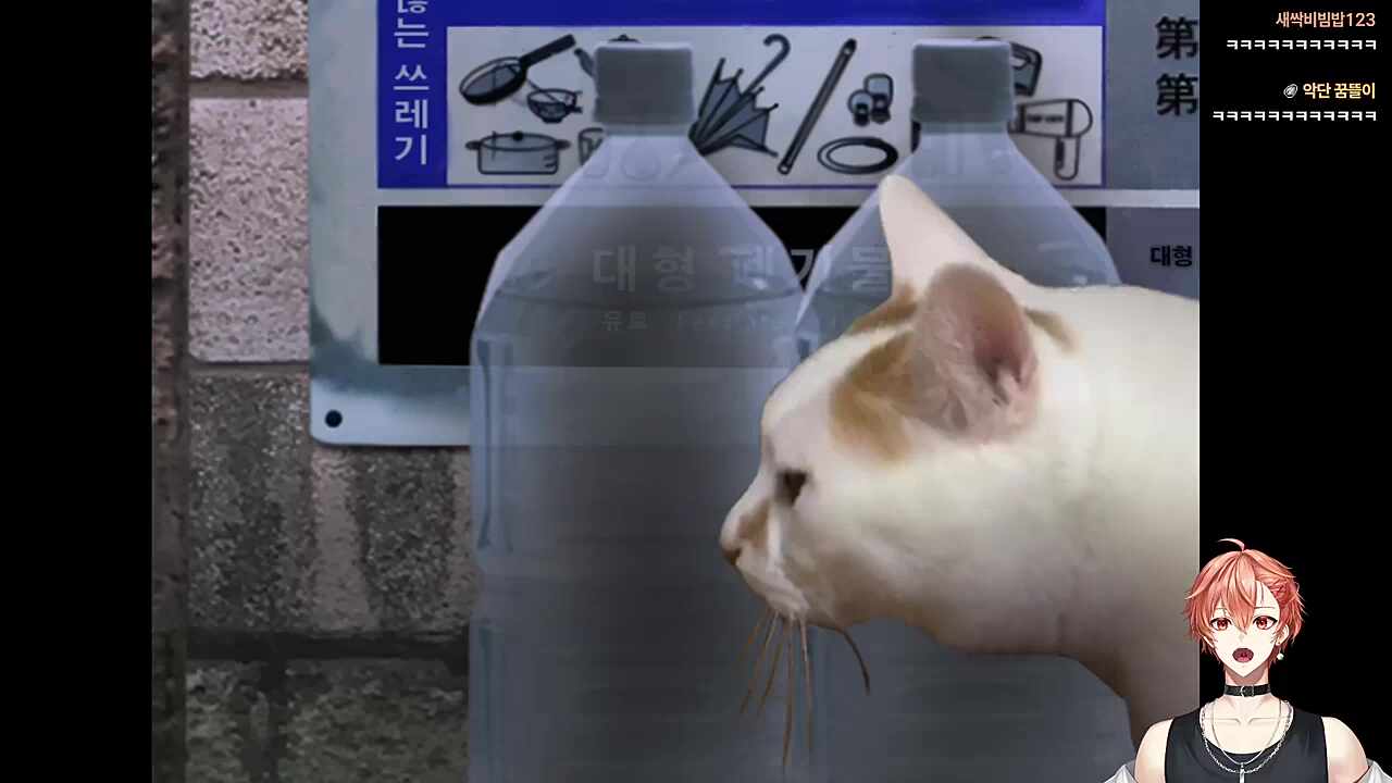 냐오옹