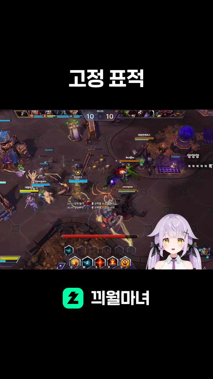 고정 표적