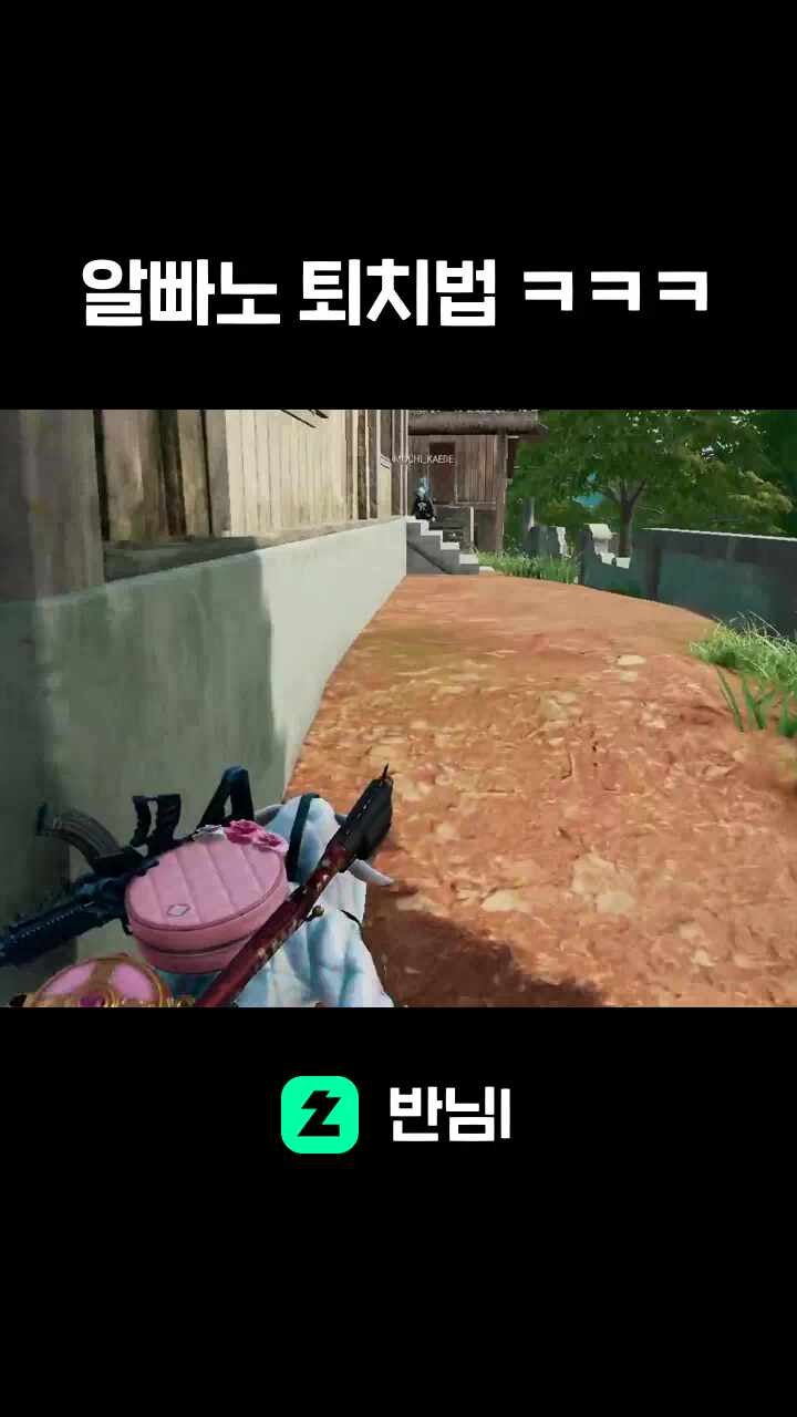 알빠노 퇴치법 ㅋㅋㅋ