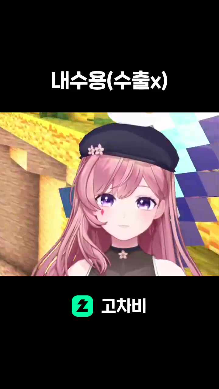 내수용(수출x)